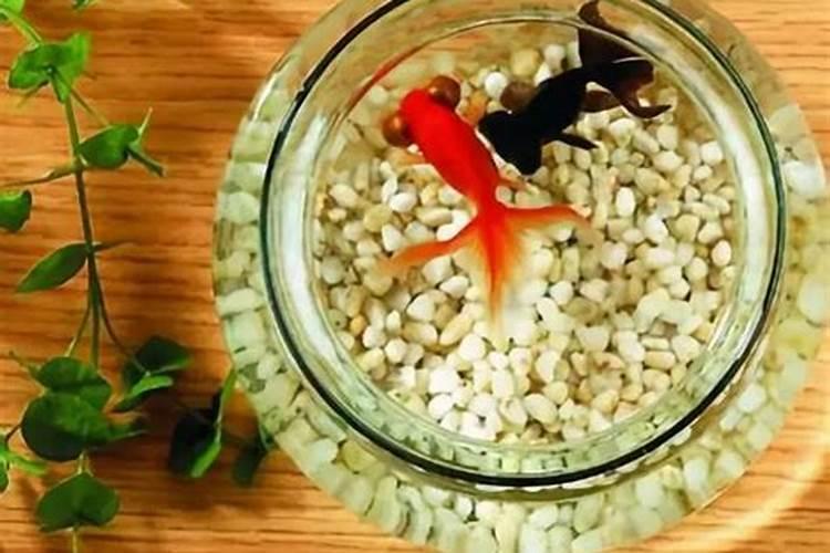 中国传统十月初一鬼节的讲究？