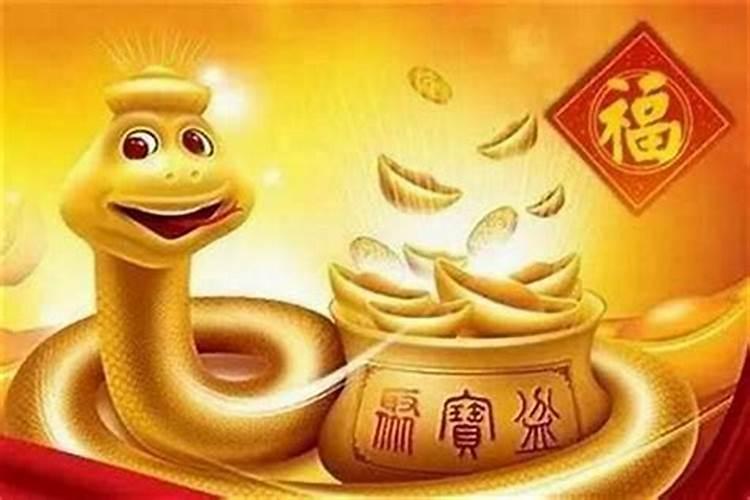 什么蛇是苦命蛇8月份