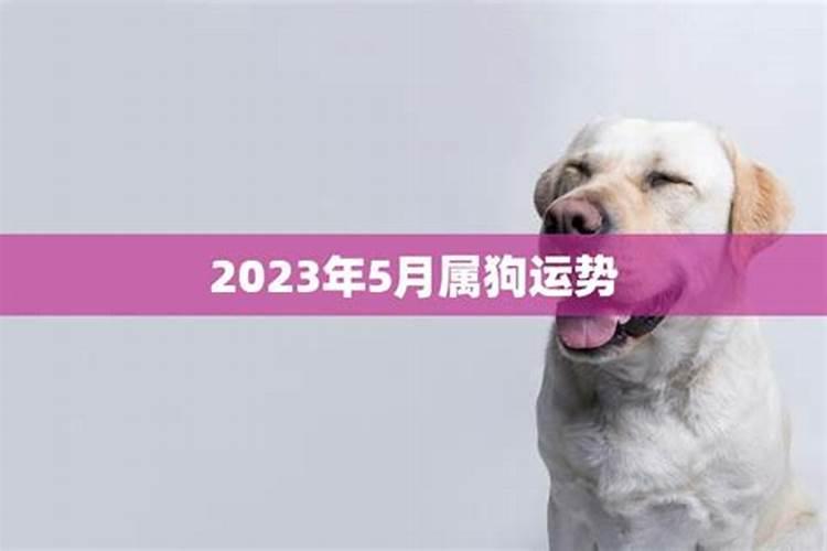 93年2025属鸡一鸣惊人运势如何