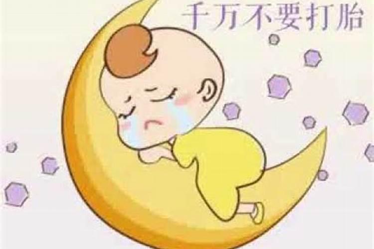 飞机托运狗狗麻烦吗？托运狗狗需要准备些什么呢？