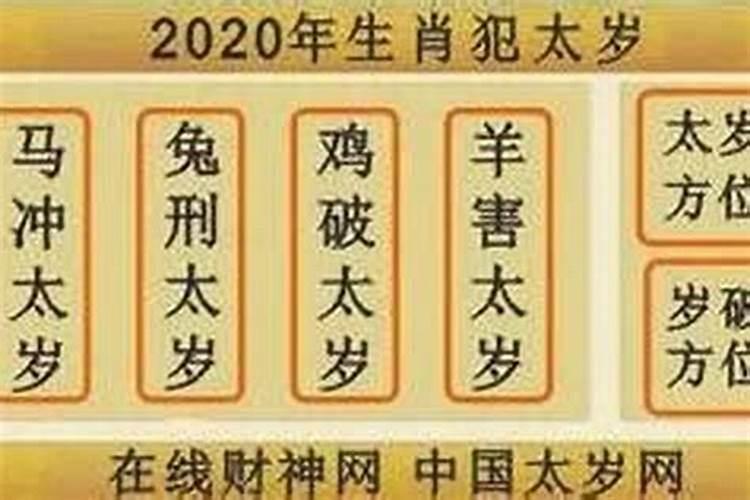 猪年犯太岁怎么办