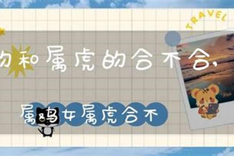 婚姻硬配是什么意思？
