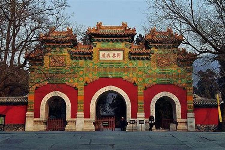属马25年犯太岁吗
