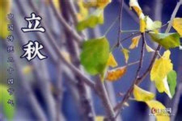 为什么八字合婚和出来结果不一样