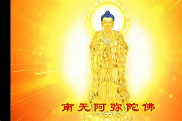 87年属兔人2024年每月运势