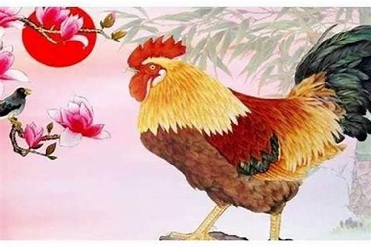 女人没有姻缘是什么意思？