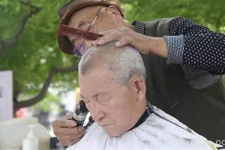 梦见梅花鹿跟着自己