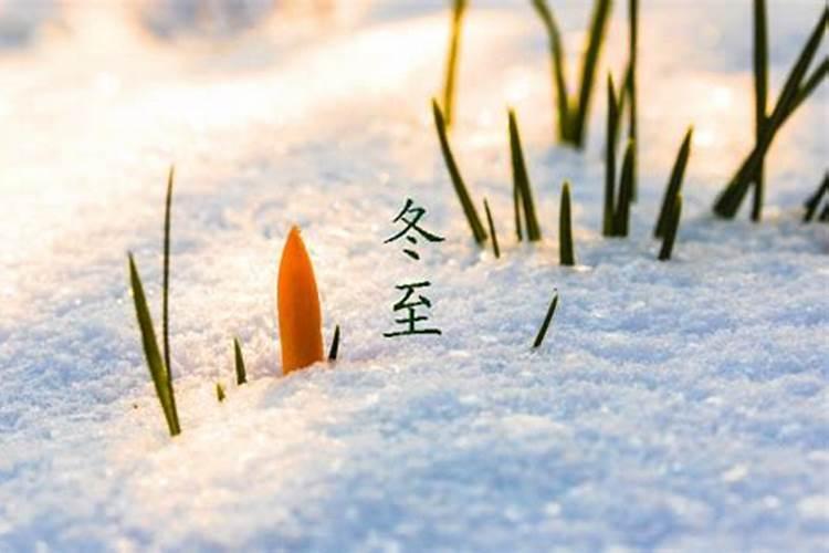 1996年鼠哪年走大运属鼠96年未来哪年起大运