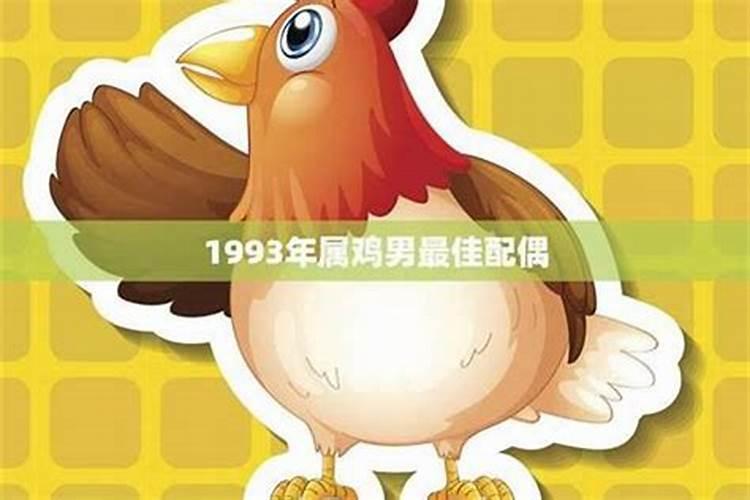 1993年属鸡人一生的运程运势