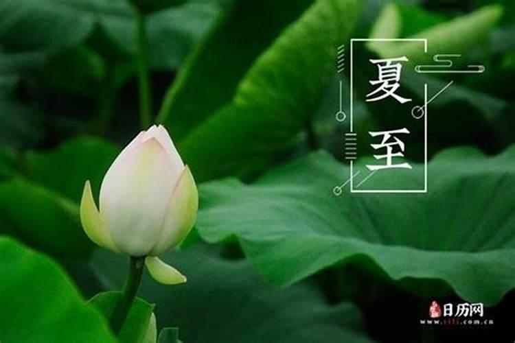 2024夏至节气几点几分开始 夏至和立夏有什么区别