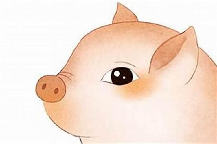 女人梦见熟的猪头肉是什么兆头
