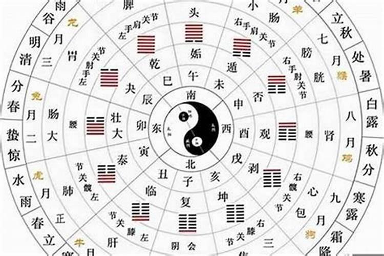 2025属羊的是什么命 2025年属羊人的命运