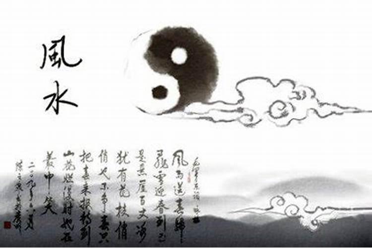2024年11月25日十二生肖打麻将如何
