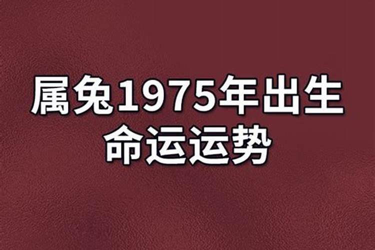 2025年1975年属兔男运程