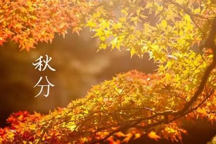 四离四绝日出生的人好不好