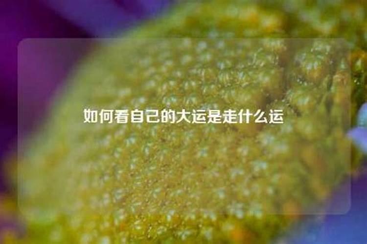 怎么查自己的大运流年