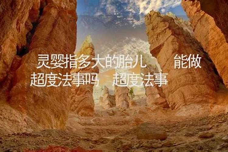1994年农历六月的最佳配偶