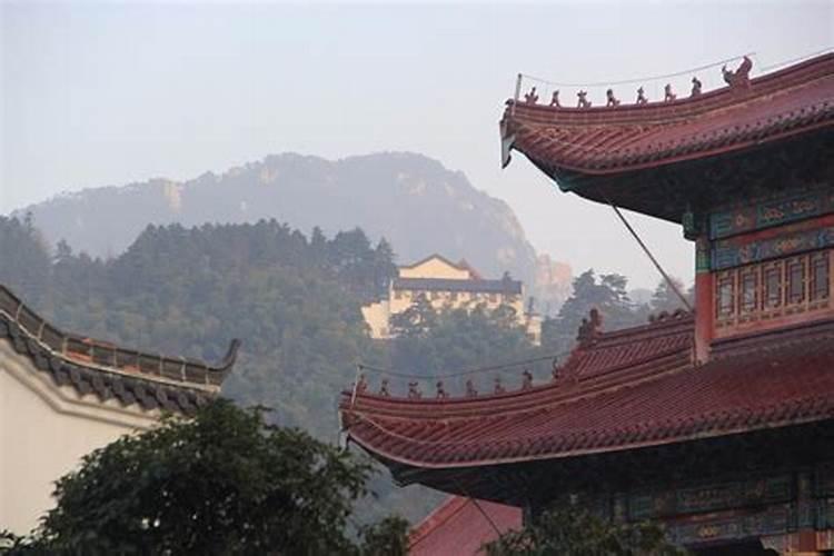 属兔2025年犯太岁吗？