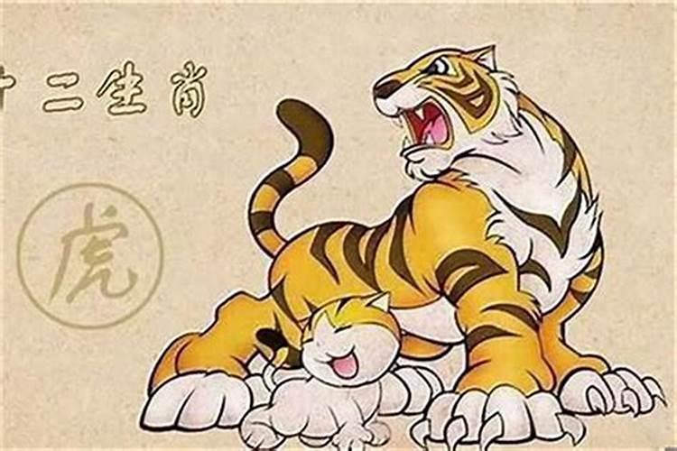 属虎人2025全年运势详解 属虎人2025年每月运势