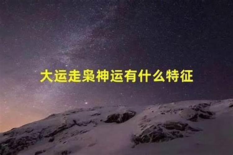 2025年十二生肖运势详解