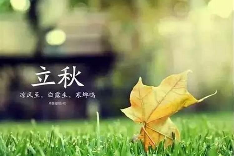 梦见去粮店没买上东西
