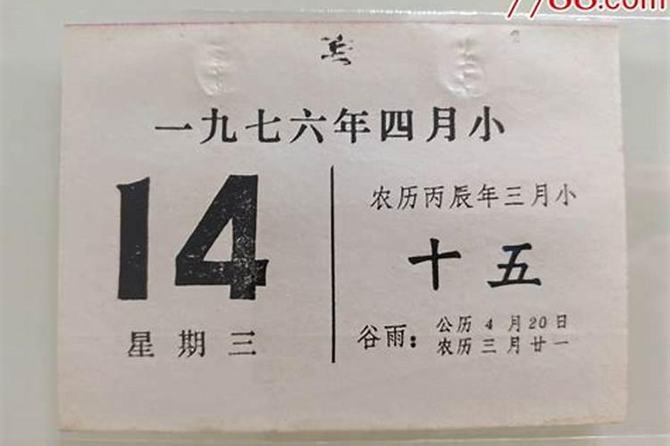 生肖羊2025年运势 属羊2025年运势及运程