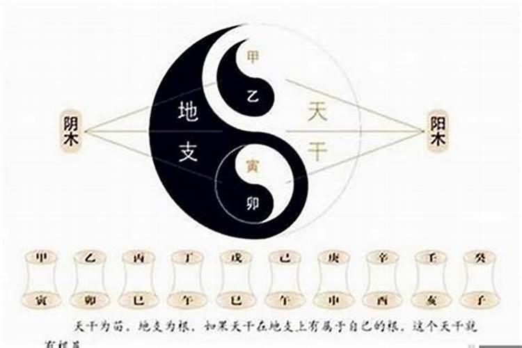 什么相亲软件最真实免费？