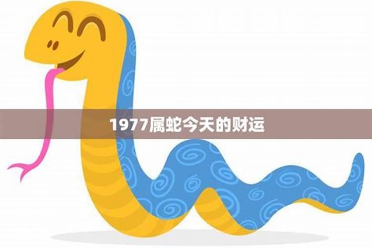 烧替身咒语