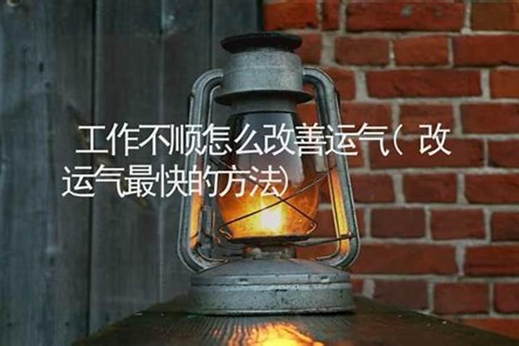 梦见海龟是什么意思