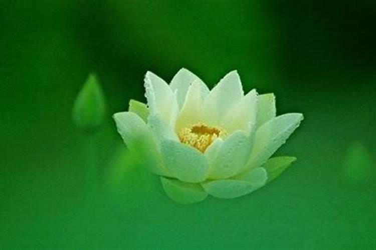 立秋节气的寓意和传统