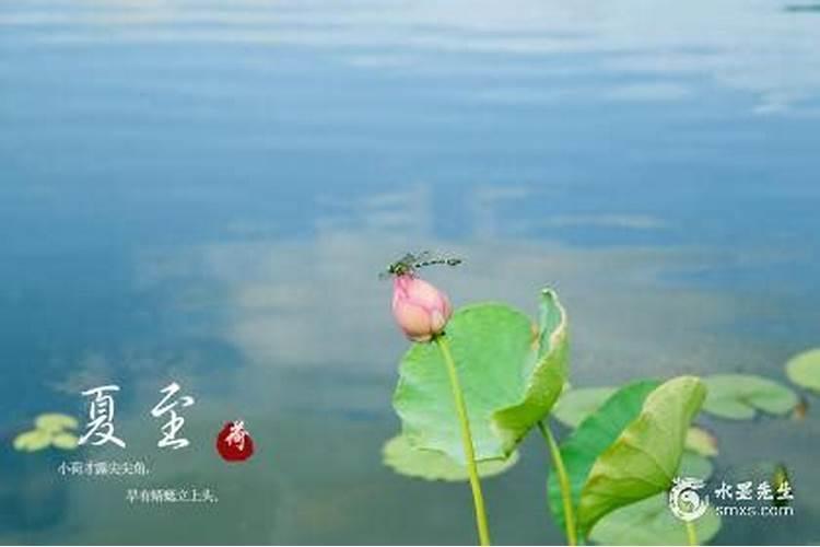 夏至出生的女孩 先苦后甜厚积薄发？
