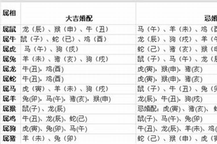 八字排盘出来后怎么解读
