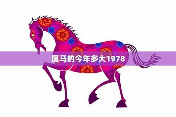 1978年属马的人2025年运势及运程
