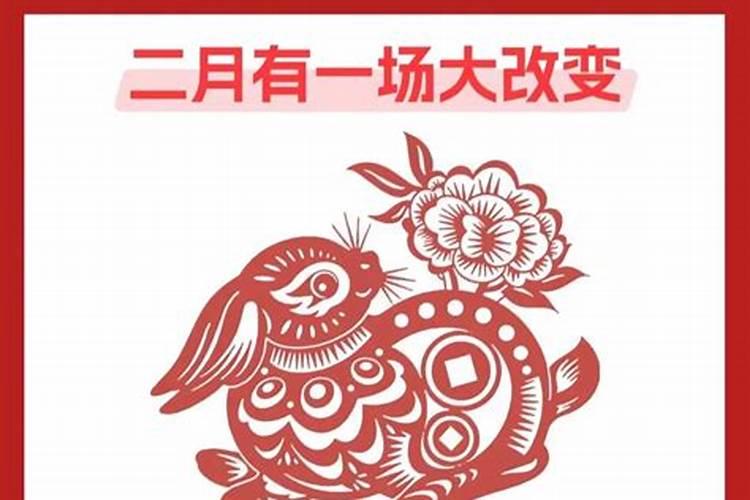 梦见猫抓住我的腿不放的预兆