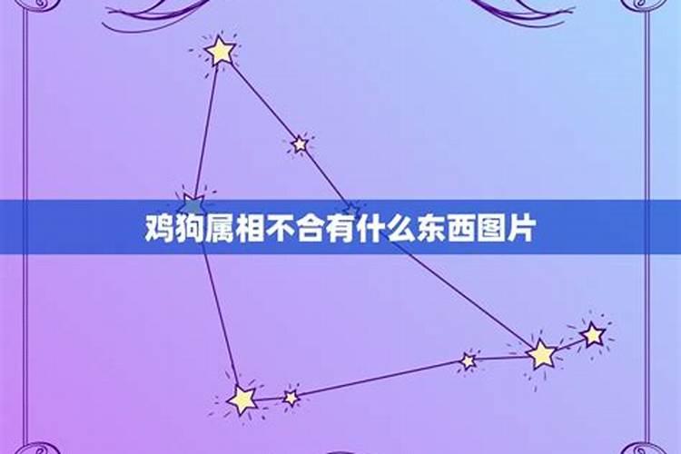 鸡狗八字有合的吗金鸡玉犬破解之法