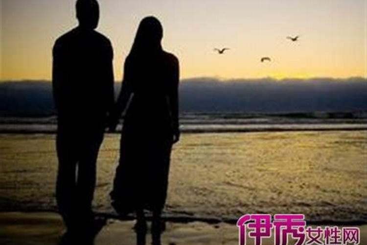 农历1995年11月19日属猪人的婚姻与命运
