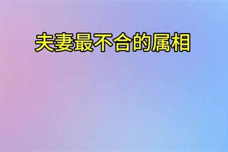 2025年黄帝公祭典礼介绍