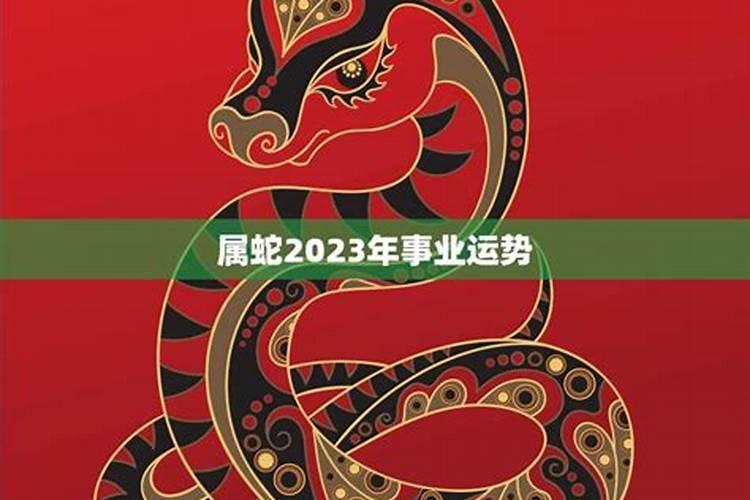 属相蛇女和鼠女和不合,属蛇女跟属鼠女好相处吗
