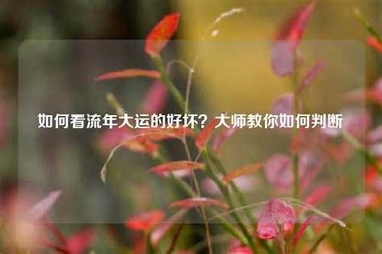 通根通根的作用