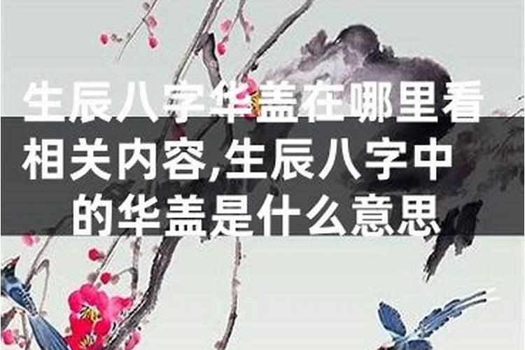 什么叫值太岁什么意思