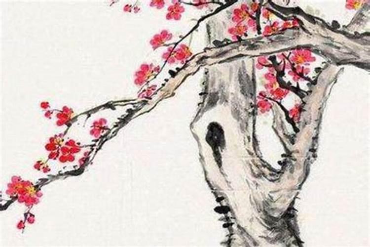 属羊人未来5年的运势