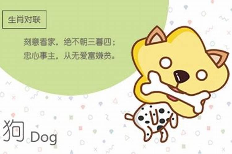 属龙男和属狗女婚姻合不合