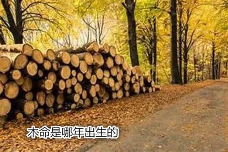 木命是什么意思