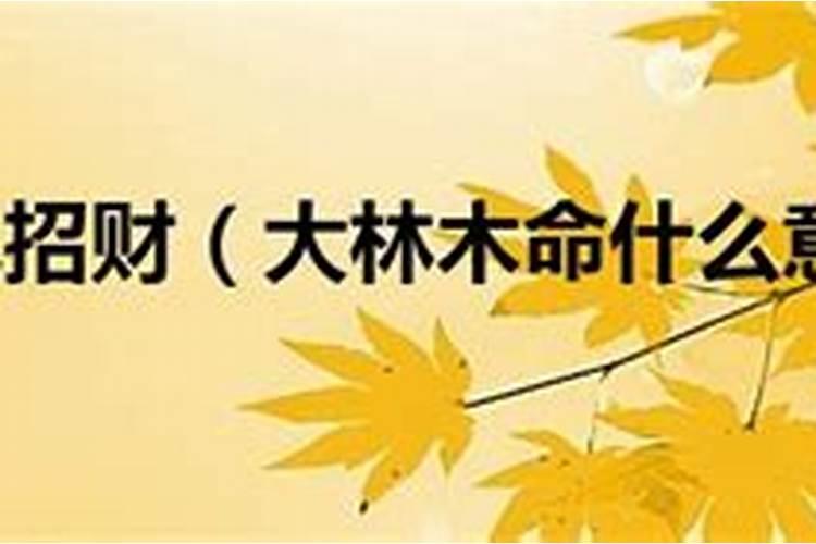 木命是什么意思木命简单介绍