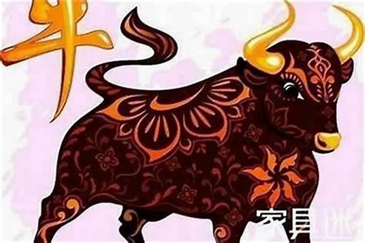 六冲夫妻都不会到头