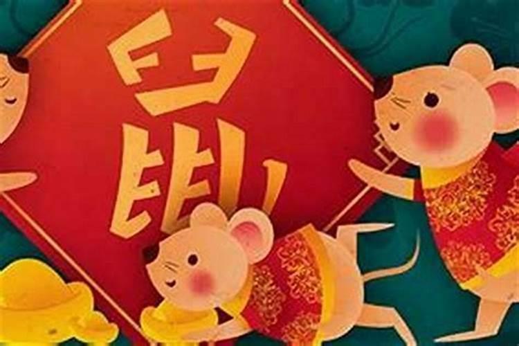 八月出生属鼠人的运势