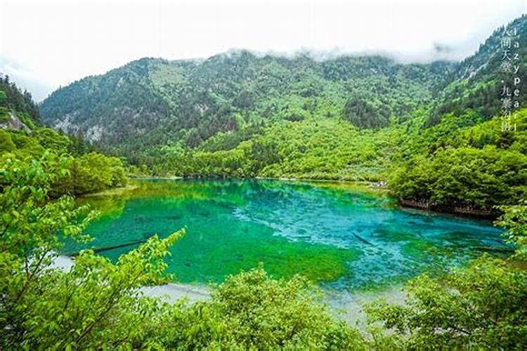 梦见河水清澈见底是什么意思