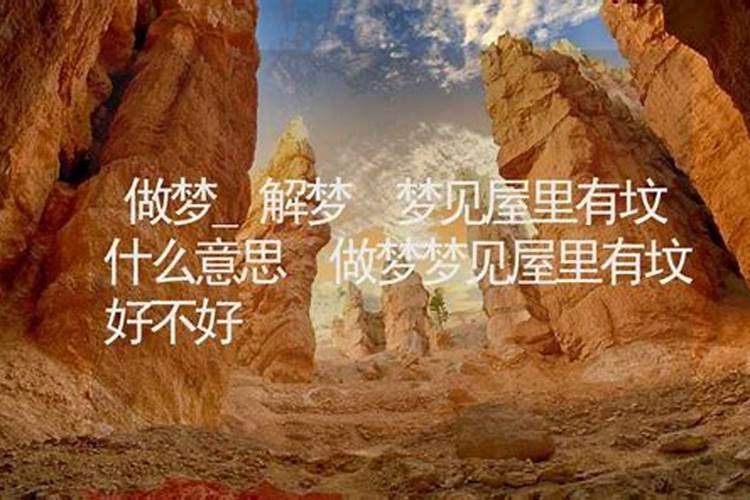 冬季奥运会七个大项的名称