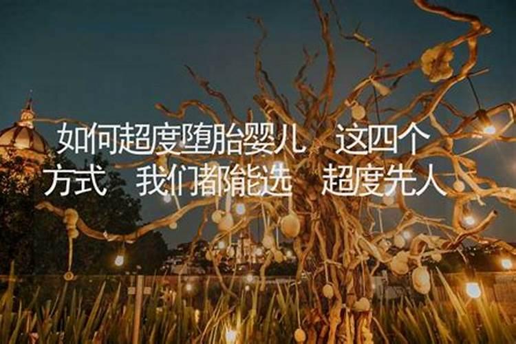 鲜肉粽子具有怎样的口感和香味特点？