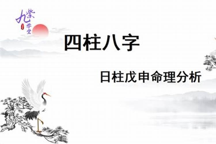 戊申日详解